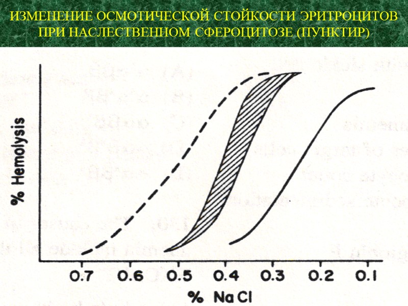 ИЗМЕНЕНИЕ ОСМОТИЧЕСКОЙ СТОЙКОСТИ ЭРИТРОЦИТОВ ПРИ НАСЛЕСТВЕННОМ СФЕРОЦИТОЗЕ (ПУНКТИР)